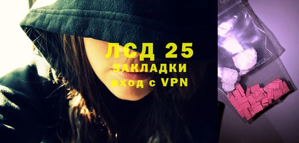 прущие крисы Бородино