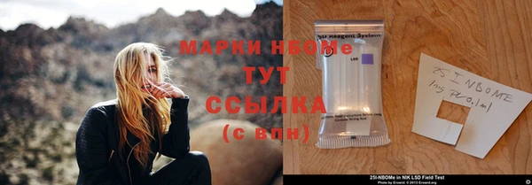 прущие крисы Бородино