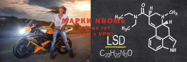 прущие крисы Бородино
