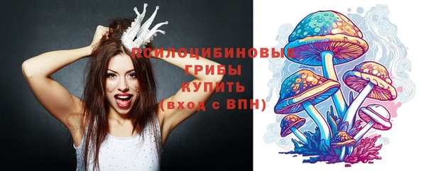 прущие крисы Бородино
